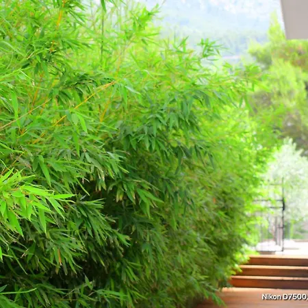 Baltimore.house Lägenhet Baška Voda